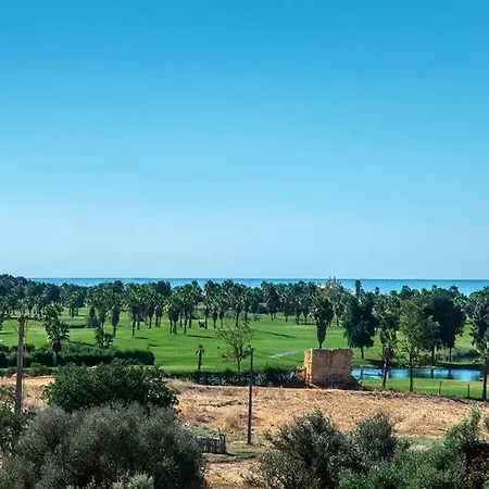 Salgados אלבופיירה